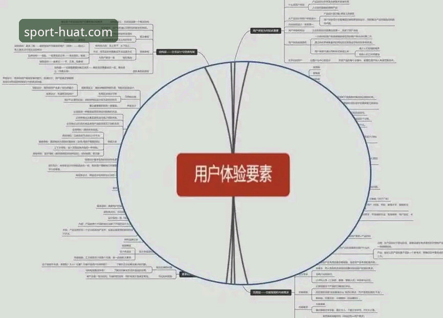 华体育畅享运动体验深度解析——从平台架构到用户价值的数据化洞察